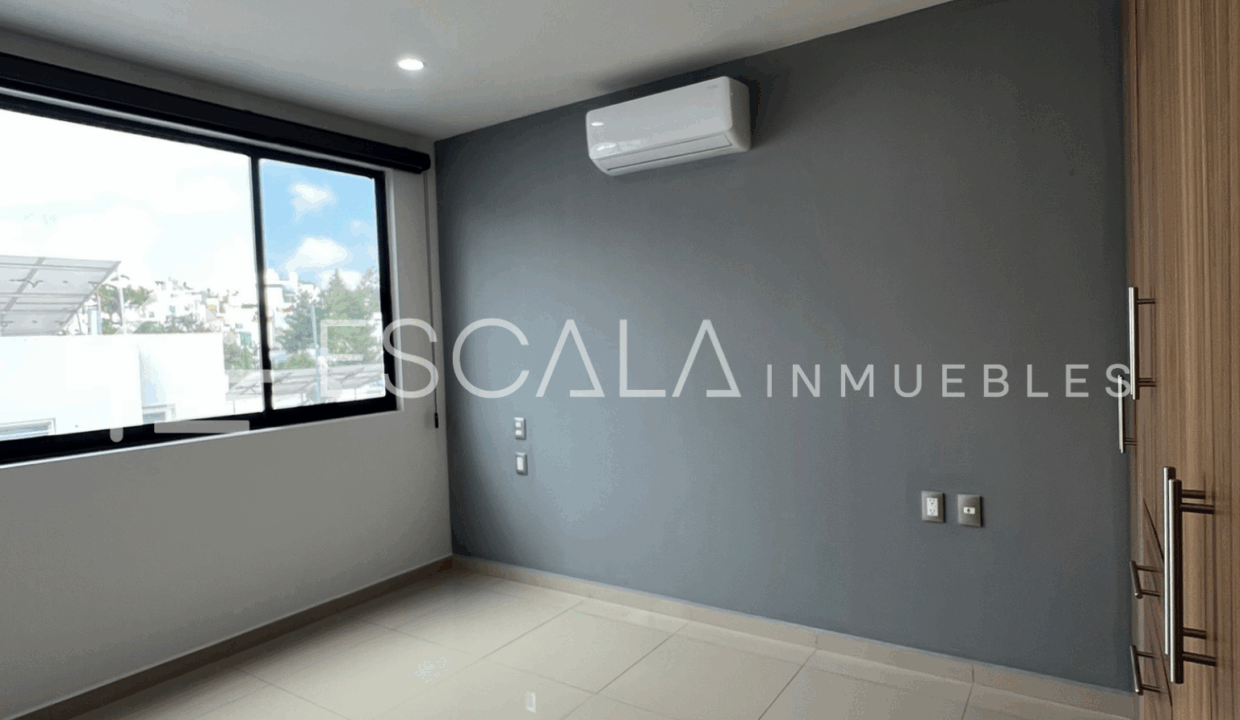 Jabalí_11