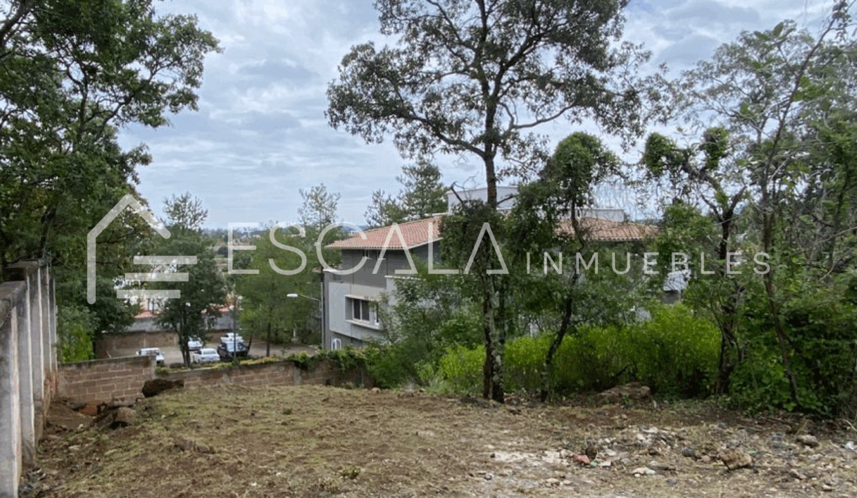 Web_Terreno_Pinar-01