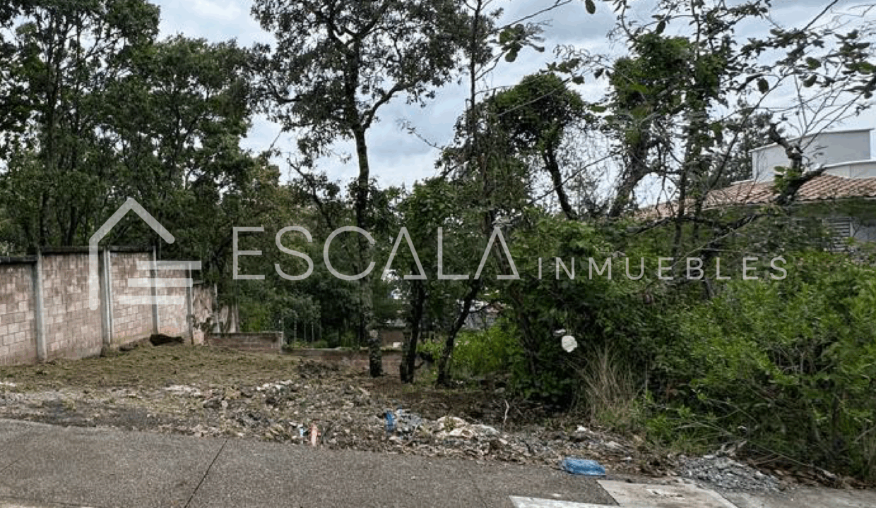 Web_Terreno_Pinar-02