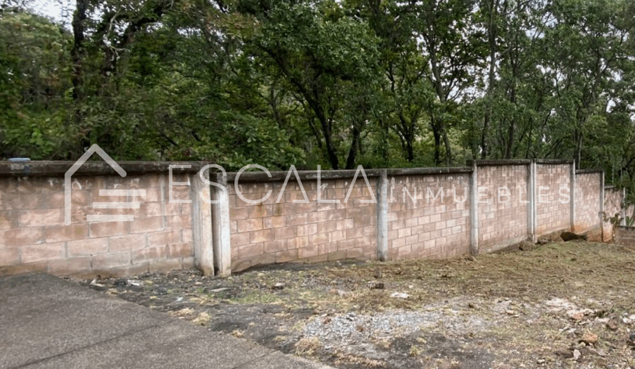 Web_Terreno_Pinar-03