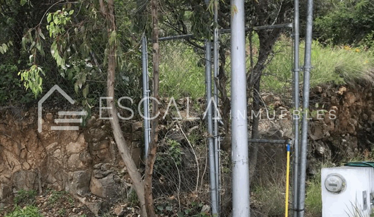 Web_T_Retorno_Venado